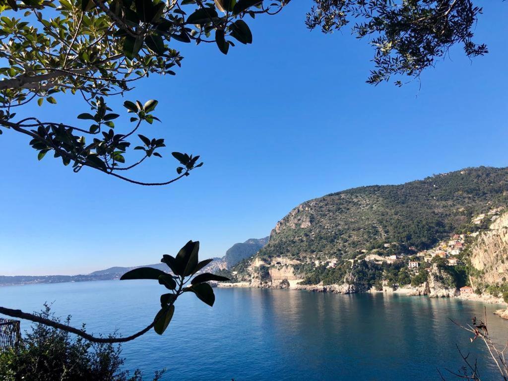 Une Terrasse Sur Monaco Logement 2 Chambre Beausoleil Dış mekan fotoğraf